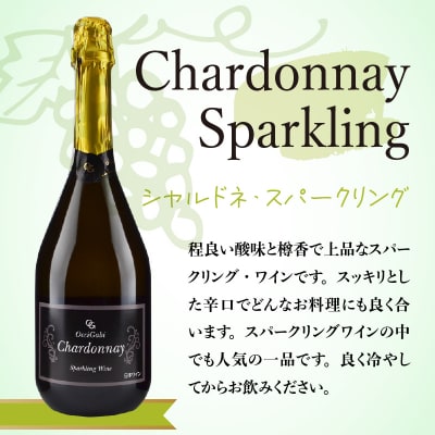 【先行受付】【贈答用】人気の紅白 スパークリング ワイン セット 各750ml_Y012-0106