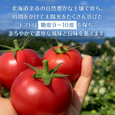 【定期便12回】中野ファームのトマトジュース 720ml×2本_Y026-0012