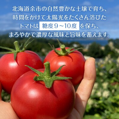 【定期便12回】中野ファームのトマトジュース 720ml×2本_Y026-0012