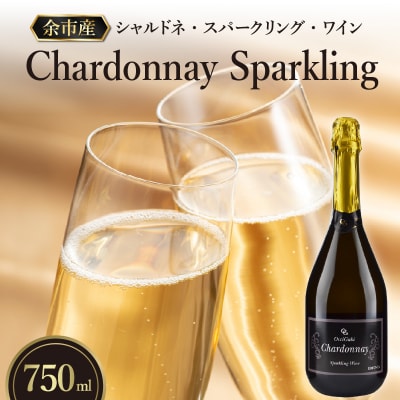 【先行受付】【OcciGabi Winery】シャルドネ・スパークリング・ワイン_Y012-0089