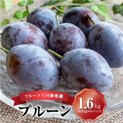 【先行受付】フルーツ王国余市産「プルーン」400g×4パック_Y074-0159