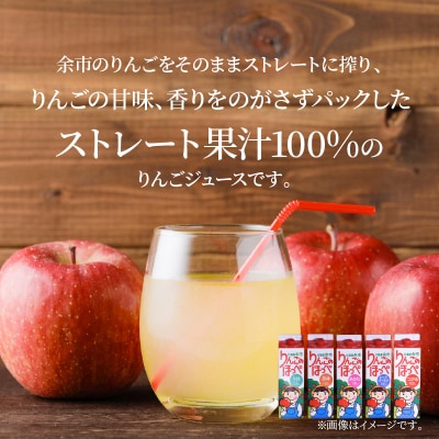 りんごのほっぺ (つがる・あかね・王林・レッドゴールド・昂林) 1L×5本_Y034-0100