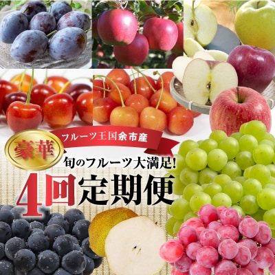 【ニトリ観光果樹園が贈るフルーツ王国定期便!】豪華!!旬のフルーツ4回発送コース_Y074-0016