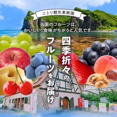 【ニトリ観光果樹園が贈るフルーツ王国定期便!】豪華!!旬のフルーツ4回発送コース_Y074-0016