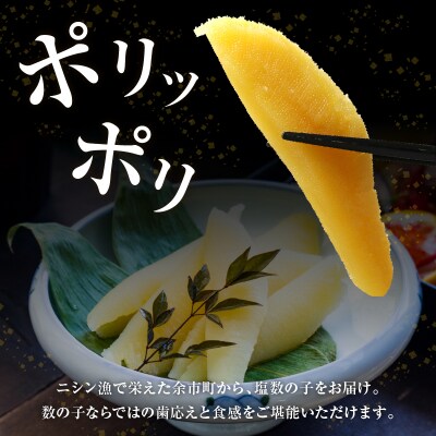 《北海道産》特選!塩数の子500g<菊地水産>_Y020-0322