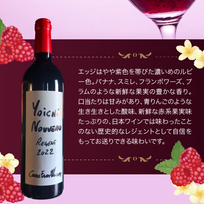 余市 NOUVEAU 2022【キャメルファーム】_Y020-0669