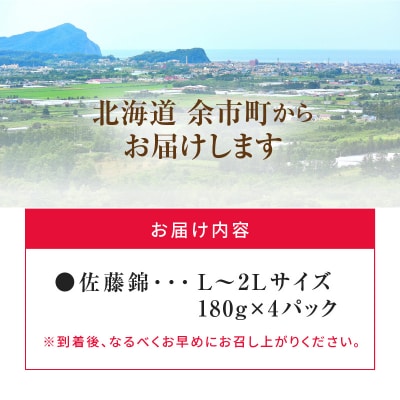 【先行受付】令和8年産佐藤錦【L~2Lバラ詰め】180g×4【ニトリ観光果樹園】_Y074-0161