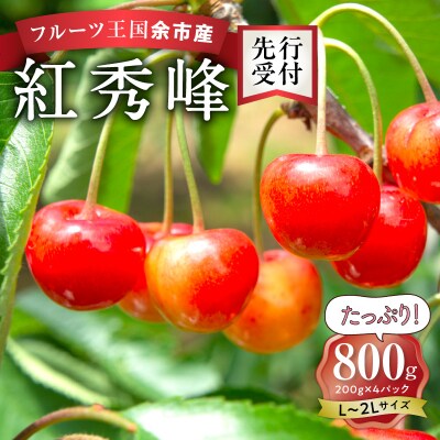 2025年発送【先行受付】紅秀峰【L～2Lバラ】200g×4【ニトリ観光果樹園】_Y074-0115