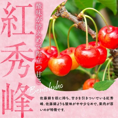 2025年発送【先行受付】紅秀峰【L～2Lバラ】200g×4【ニトリ観光果樹園】_Y074-0115