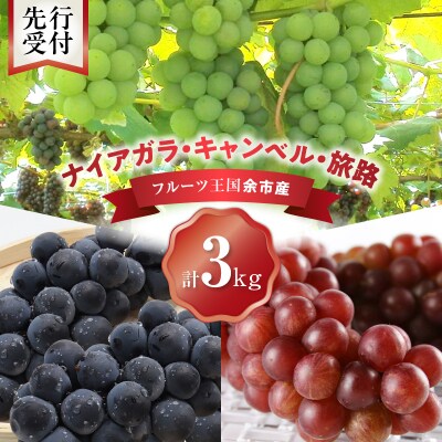 【先行受付】フルーツ王国余市産「旅路・ナイアガラ・キャンベル」3kg_Y074-0128