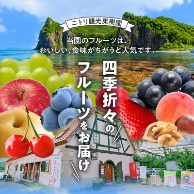 【先行受付】フルーツ王国余市産「旅路・ナイアガラ・キャンベル」3kg_Y074-0128