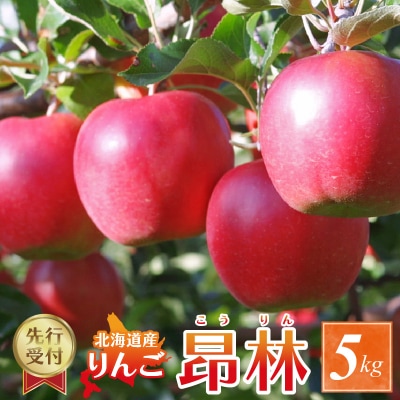 【2025年10月中旬以降発送分先行受付】りんご(昂林) 5kg_Y010-0349