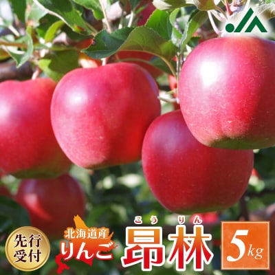 【2025年10月中旬以降発送分先行受付】りんご(昂林) 5kg_Y010-0349