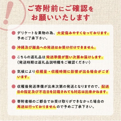 【先行受付:2026年10月中旬以降発送分】りんご(昂林)5kg_Y010-0661
