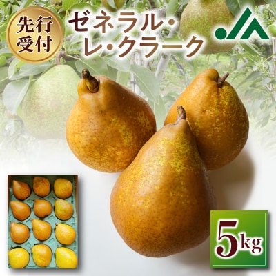 【先行受付:2026年10中旬以降発送分】洋梨(ゼネラル・レ・クラーク) 5kg_Y010-0654