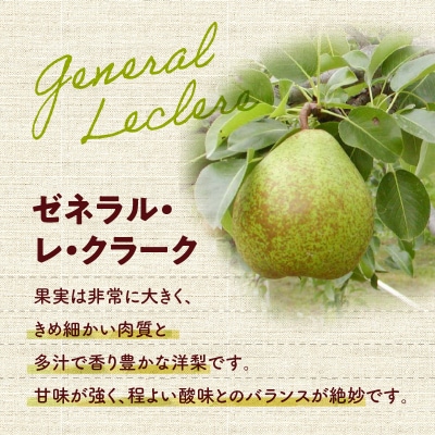 【先行受付:2026年10中旬以降発送分】洋梨(ゼネラル・レ・クラーク) 5kg_Y010-0654