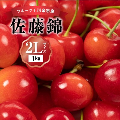 2026年発送【先行受付】佐藤錦【2Lサイズ】500g×2【ニトリ観光果樹園】_Y074-0134