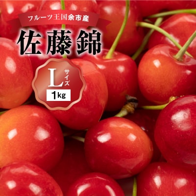 2025年発送【先行受付】佐藤錦【Lサイズ】500g×2【ニトリ観光果樹園】_Y074-0110
