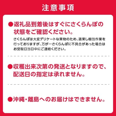 2025年発送【先行受付】佐藤錦【Lサイズ】500g×2【ニトリ観光果樹園】_Y074-0110