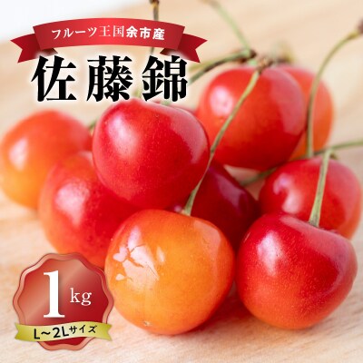 2025年発送【先行受付】佐藤錦【L～2L】500g×2 【ニトリ観光果樹園】_Y074-0112