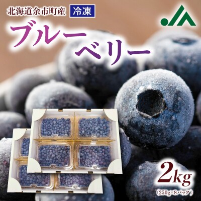 冷凍ブルーベリー 250g×4パック×2箱 北海道余市町産_Y010-0345