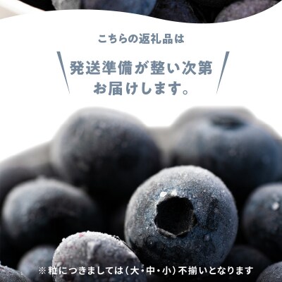 冷凍ブルーベリー 250g×4パック×2箱 北海道余市町産_Y010-0345