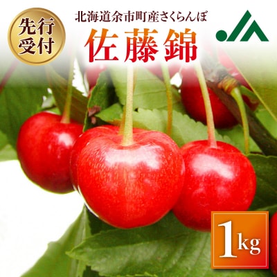 【先行受付:2026年7月初旬以降発送分】さくらんぼ(佐藤錦) 1kg_Y010-0656