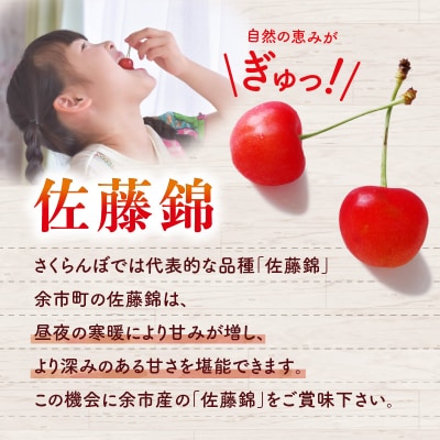 【先行受付:2026年7月初旬以降発送分】さくらんぼ(佐藤錦) 1kg_Y010-0656