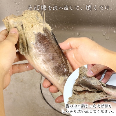 〇北海道の伝統食〇 吟上そば糠ほっけ 2本セット<菊地水産>_Y020-0257