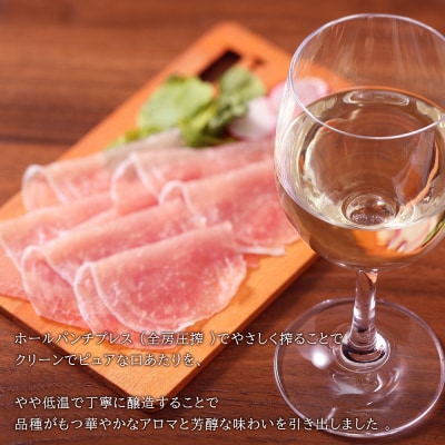 【北海道ワイン】 田崎ヴィンヤード ピノ・ノワール ブラン・ド・ノワール2021_Y020-0698