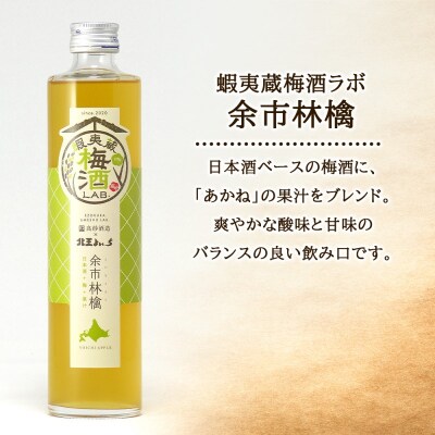 高砂酒造 蝦夷蔵梅酒ラボセット〈余市林檎〉2本_Y020-0727