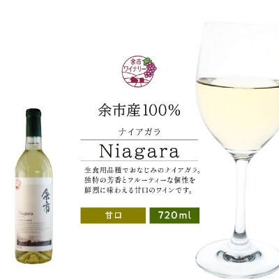 北海道 ワイン ナイアガラ 720ml<余市ワイン>_Y020-0402