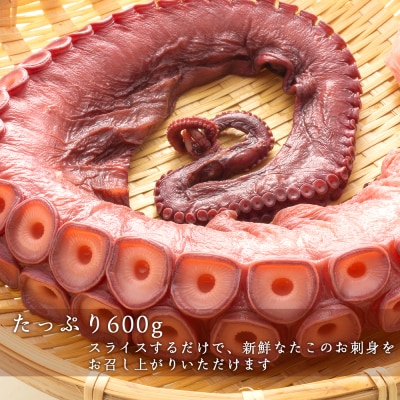 北海道産 やわらか煮 たこ足(約600g)<菊地水産>_Y020-0428