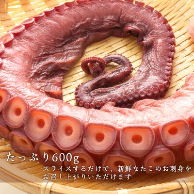 北海道産 やわらか煮 たこ足(約600g)<菊地水産>_Y020-0428