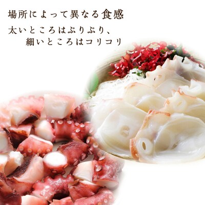 北海道産 やわらか煮たこ足(約600g)2本セット<菊地水産>_Y020-0429