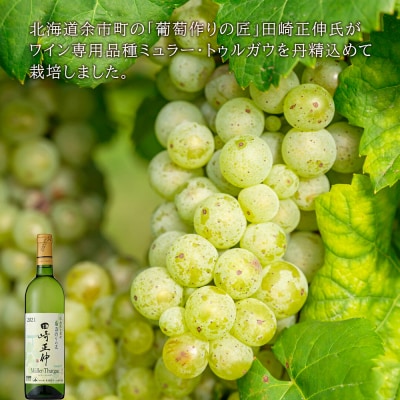 【葡萄作りの匠 田崎正伸】北海道ワイン 2種 飲み比べセット_Y020-0437