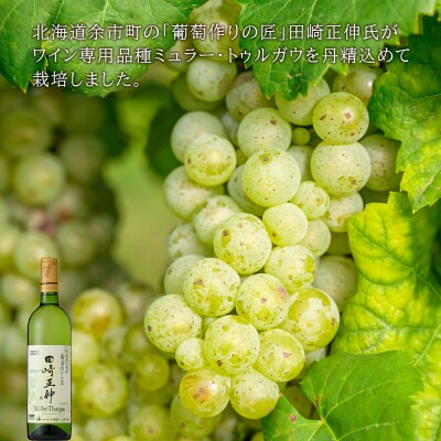 【葡萄作りの匠 田崎正伸】北海道ワイン 2種 飲み比べセット_Y020-0437