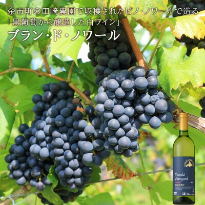 【葡萄作りの匠 田崎正伸】北海道ワイン 2種 飲み比べセット_Y020-0437