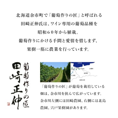 【葡萄作りの匠 田崎正伸】北海道ワイン 2種 飲み比べセット_Y020-0437