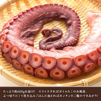 年末年始のお祝いや贈答品にぴったり!ズワイガニ(2肩)とたこセット<菊地水産>_Y020-0490