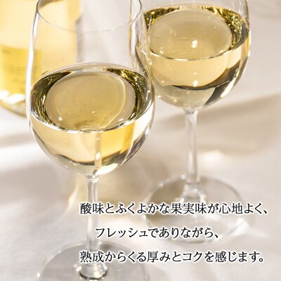 北海道100 ケルナー 2020<辛口> 720ml 白ワイン_Y020-0500