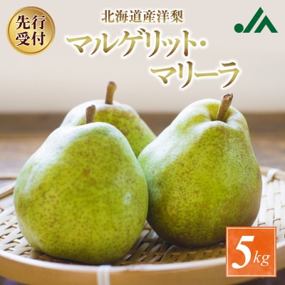 【先行受付:2026年9月中旬以降発送分】洋梨(マルゲリット・マリーラ)5kg_Y010-0655