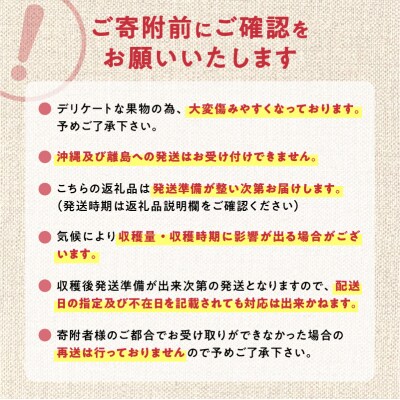 【先行受付:2026年9月中旬以降発送分】洋梨(マルゲリット・マリーラ)5kg_Y010-0655