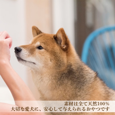 愛犬用★無添加おやつ★エゾ鹿尽くし3点セット ≪REAL DOG FOOD≫_Y020-0569