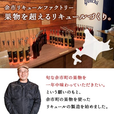 そのまま飲める♪おまかせ定期便 2本×全3回＜余市リキュールファクトリー＞_Y020-0597 