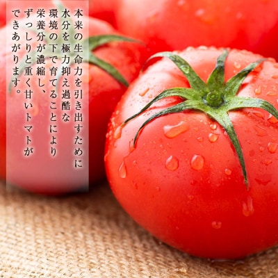 こだわりトマトジュース ～凜花～ 3本セット<吉川農園>_Y020-0299