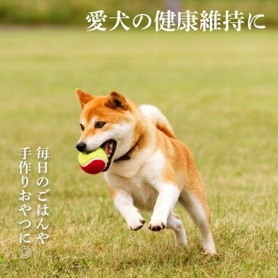 ペット用 エゾ鹿挽き肉 200g×5袋≪REAL DOG FOOD≫_Y020-0631