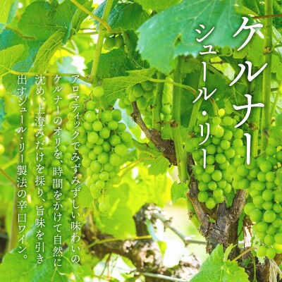 北海道 ワイン ケルナーシュール・リー 720ml<余市ワイン>_Y020-0594