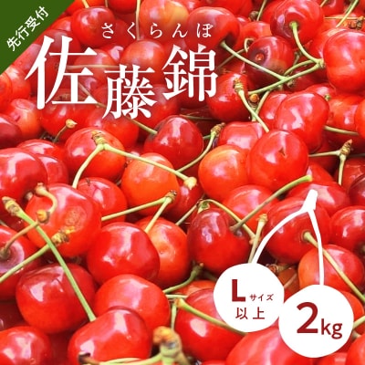 【先行受付】もぎたて直送 さくらんぼ 佐藤錦 2kg箱(北海道余市町産)_Y033-0026