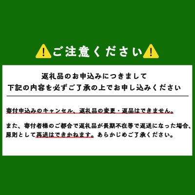【先行受付】もぎたて直送 さくらんぼ 佐藤錦 2kg箱(北海道余市町産)_Y033-0026